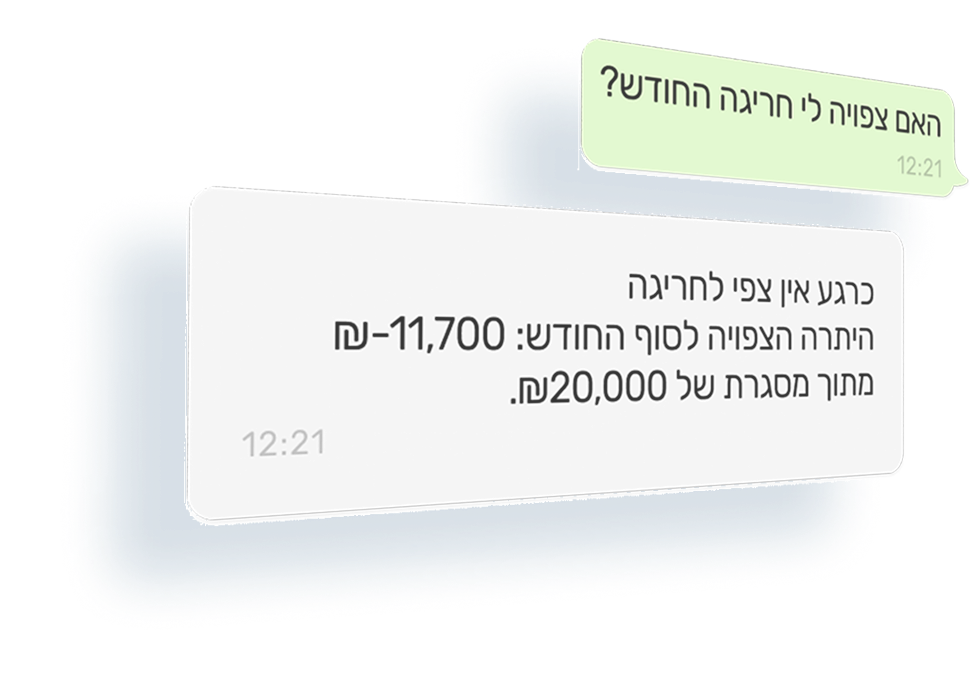 צ'אט וואטסאפ — הלקוח שואל את ה-AI על תזרים, מקבל תשובה ודוח